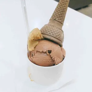 플랑크톤 사진