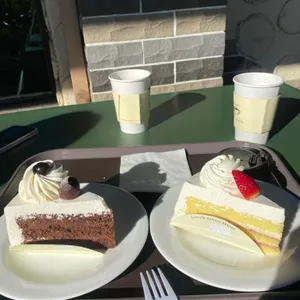 한스 사진