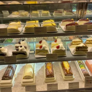 한스 사진