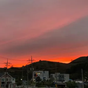 스위스램 리뷰 사진
