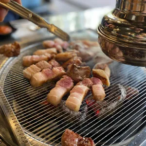 백돈 사진