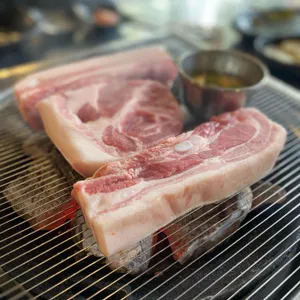 백돈 사진