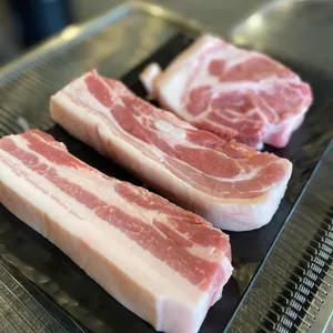 백돈 사진