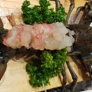 진참치 사진
