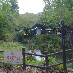 청수 리뷰 사진