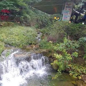 청수 리뷰 사진