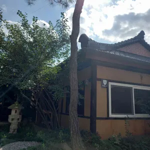 고기리금잔디 리뷰 사진