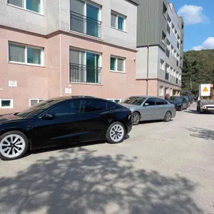 고기리금잔디 리뷰 사진