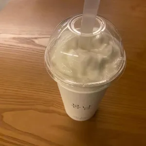 봄날 사진