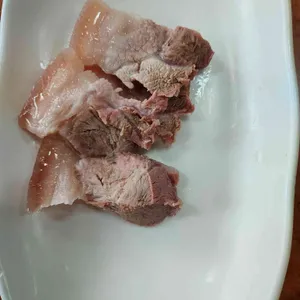 진진 사진