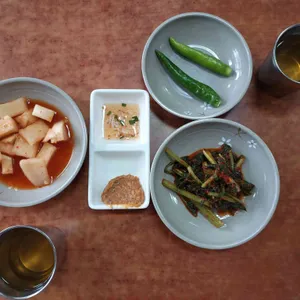진진 사진