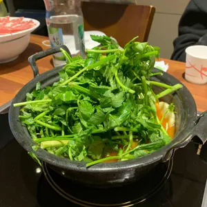 등촌샤브칼국수  사진