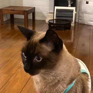 떼구루루 리뷰 사진