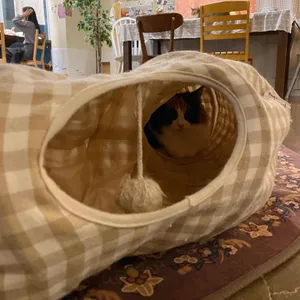 떼구루루 리뷰 사진