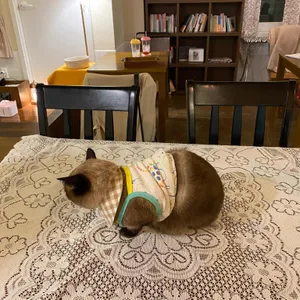 떼구루루 리뷰 사진