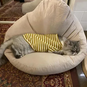 떼구루루 리뷰 사진