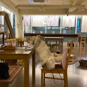 떼구루루 리뷰 사진