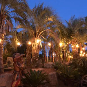 어린왕자감귤밭 리뷰 사진