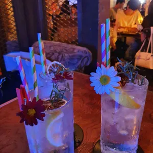 선셋 레코드 사진