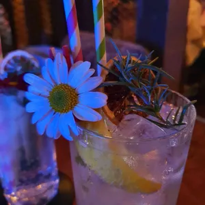 선셋 레코드 사진