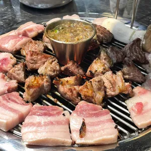 제주명돼지 사진