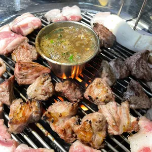 제주명돼지 사진