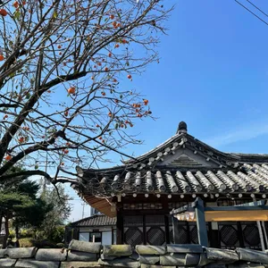 풍전 리뷰 사진