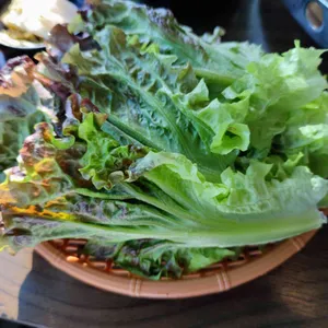 참나무집 사진
