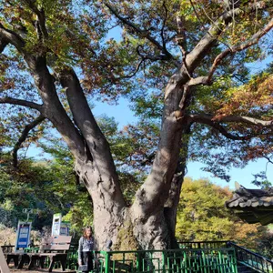 참나무집 리뷰 사진