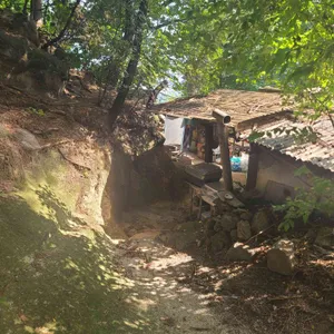 인수재 리뷰 사진
