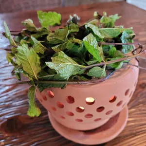 당근과깻잎 리뷰 사진