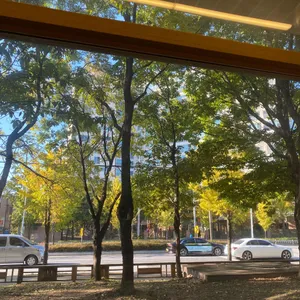 올 라운더 랩 리뷰 사진