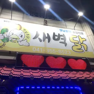 새벽닭 리뷰 사진