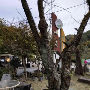 예촌 리뷰 사진