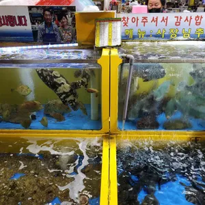 설악횟집 리뷰 사진