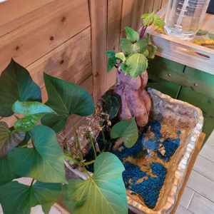 무무베이커리 사진