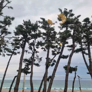 Cafe 1-21 리뷰 사진