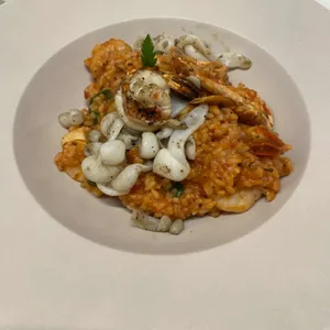 바질숲 사진