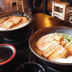 코이라멘 사진