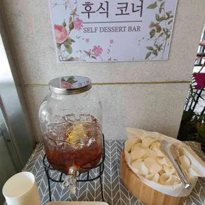 차이나플레인  사진