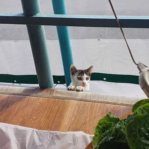 은하횟집 리뷰 사진