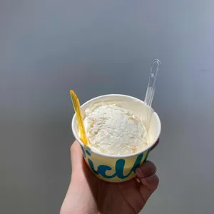 피컵요거트 사진