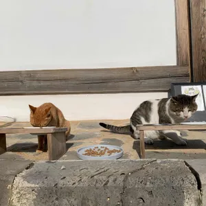 카페 하녹 리뷰 사진