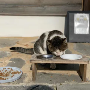 카페 하녹 리뷰 사진