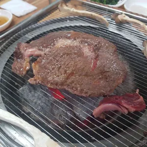 누렁소 사진
