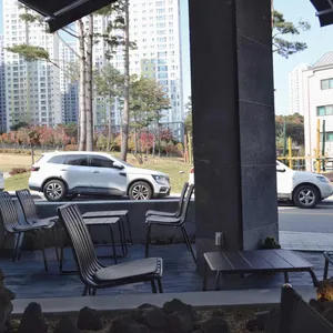 카페 프로그 리뷰 사진