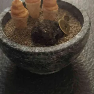 어물전 청 리뷰 사진