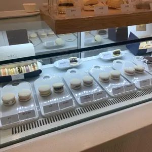 델트 사진