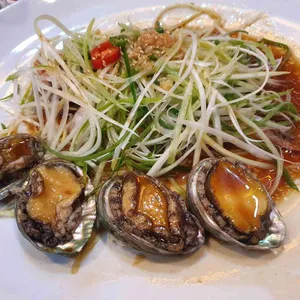 해마 사진