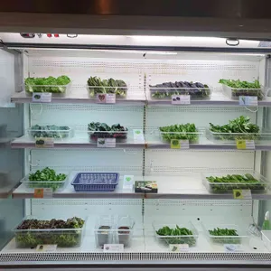 다채 리뷰 사진